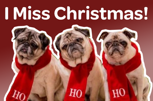 20 Merry Christmas Memes That Will Make You Miss Christmas | Love to Sing