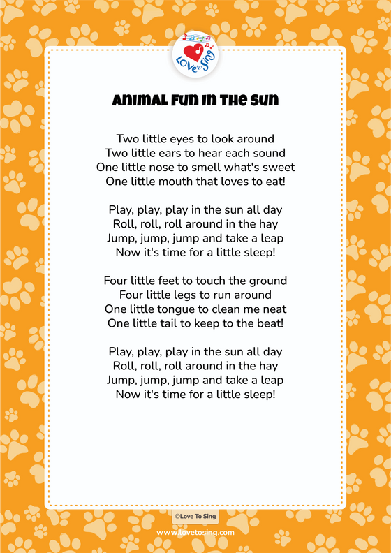 Animal Fun In The Sun