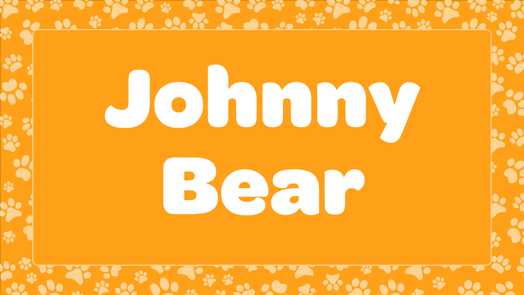 Johnny Bear