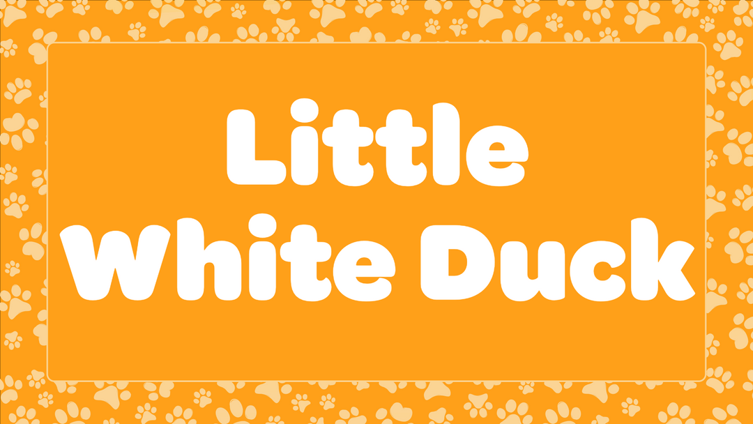 Little White Duck