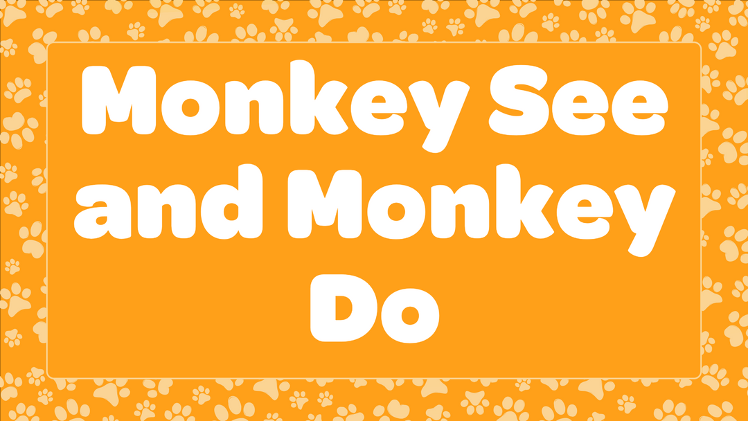 Monkey See and Monkey Do