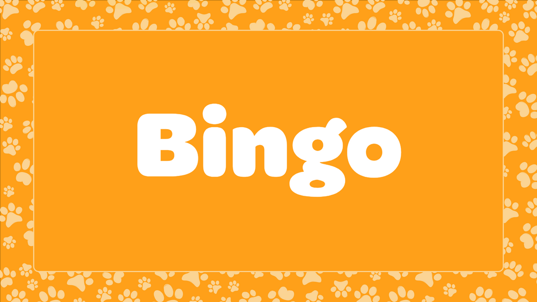 Bingo