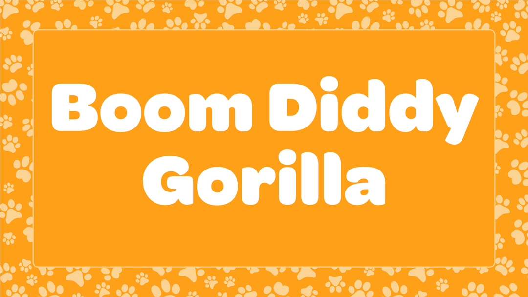 Boom Diddy Gorilla